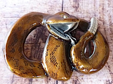 Buckle  Klapperschlange