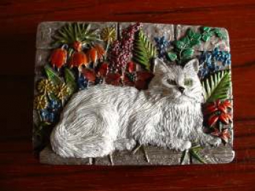 Buckle Katze