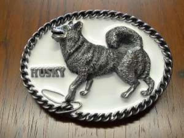 Buckle Hunde Husky