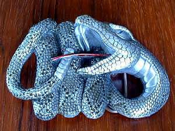 Buckle  Klapperschlange